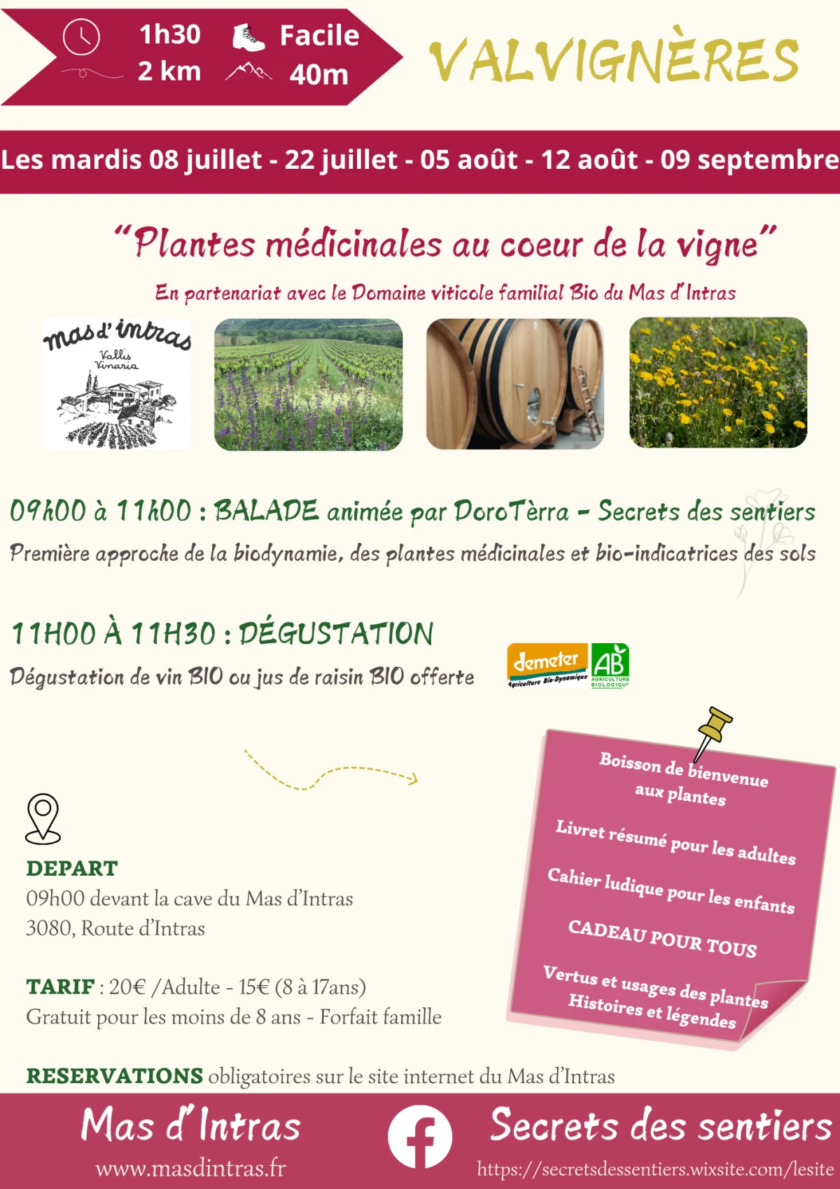Plantes médicinales au coeur de la vigne - Vignerons Indépendants