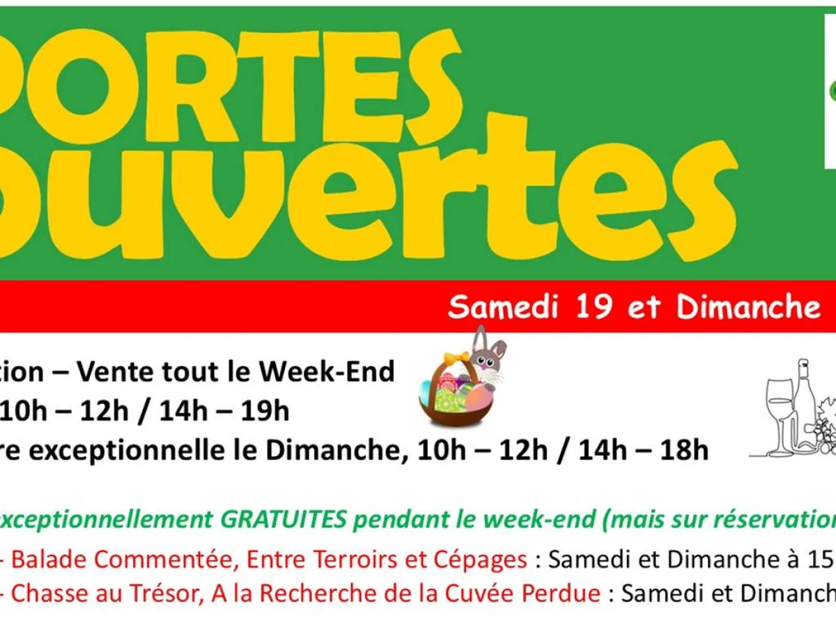 Portes Ouvertes - BALADE COMMENTEE, Entre Sauvignon et Gamay - Vignerons Indépendants
