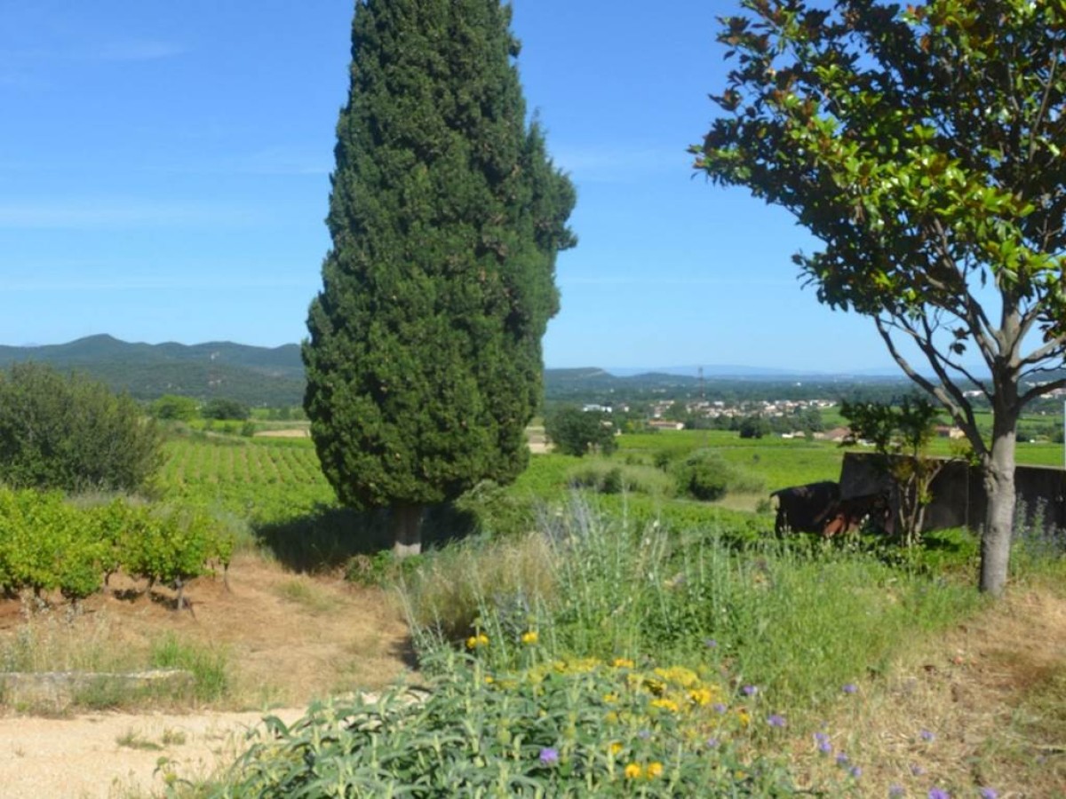 PRIVATISATION MARIAGE - Vignerons Indépendants