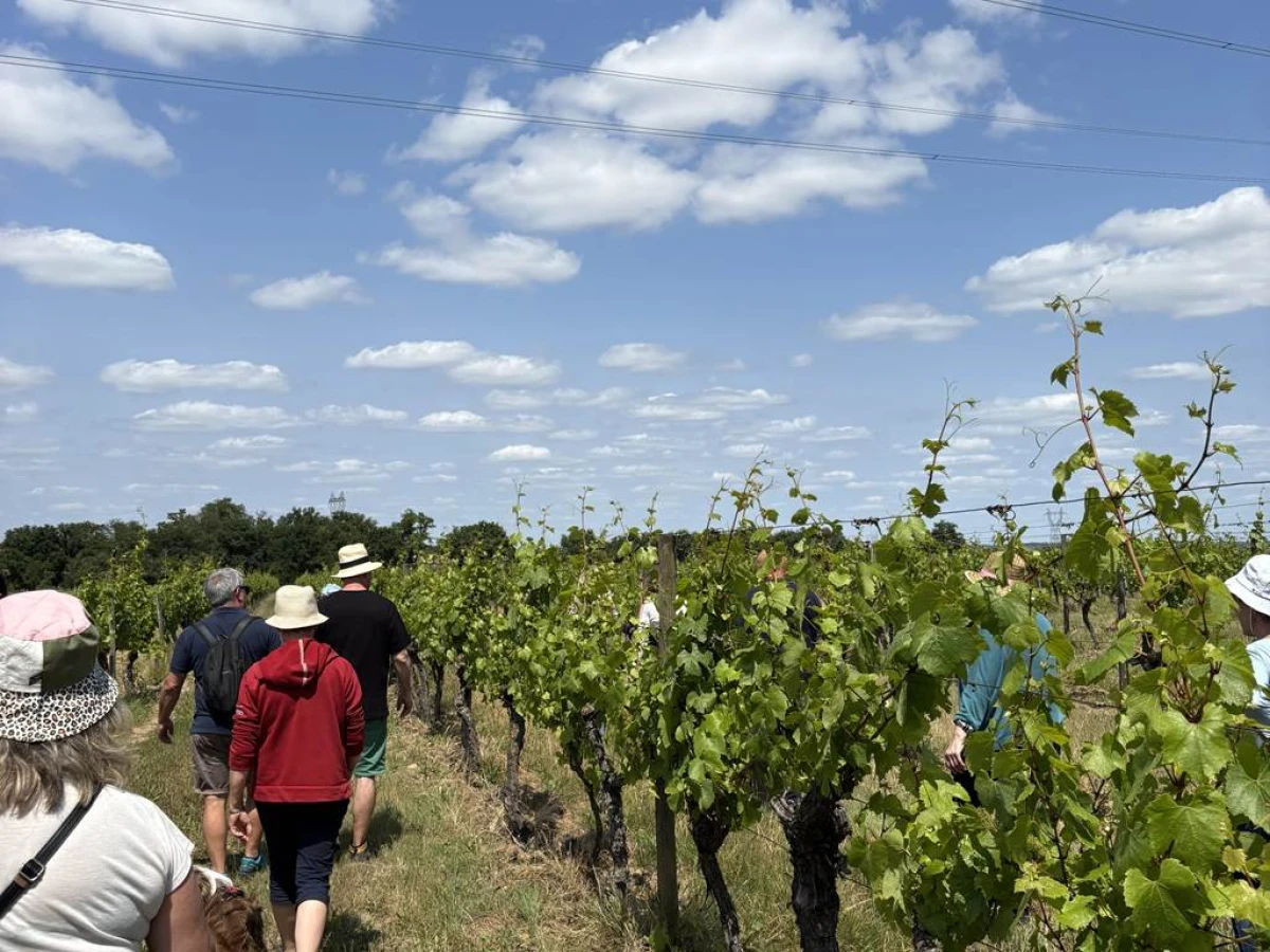 Rando des Coteaux du Layon - 9 Août - Vignerons Indépendants