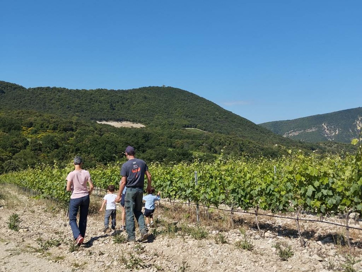 Randonnée ludique familiale - Vignerons Indépendants