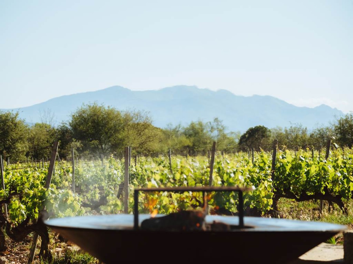 Repas Fête des Vendanges 27/09/25 - Vignerons Indépendants