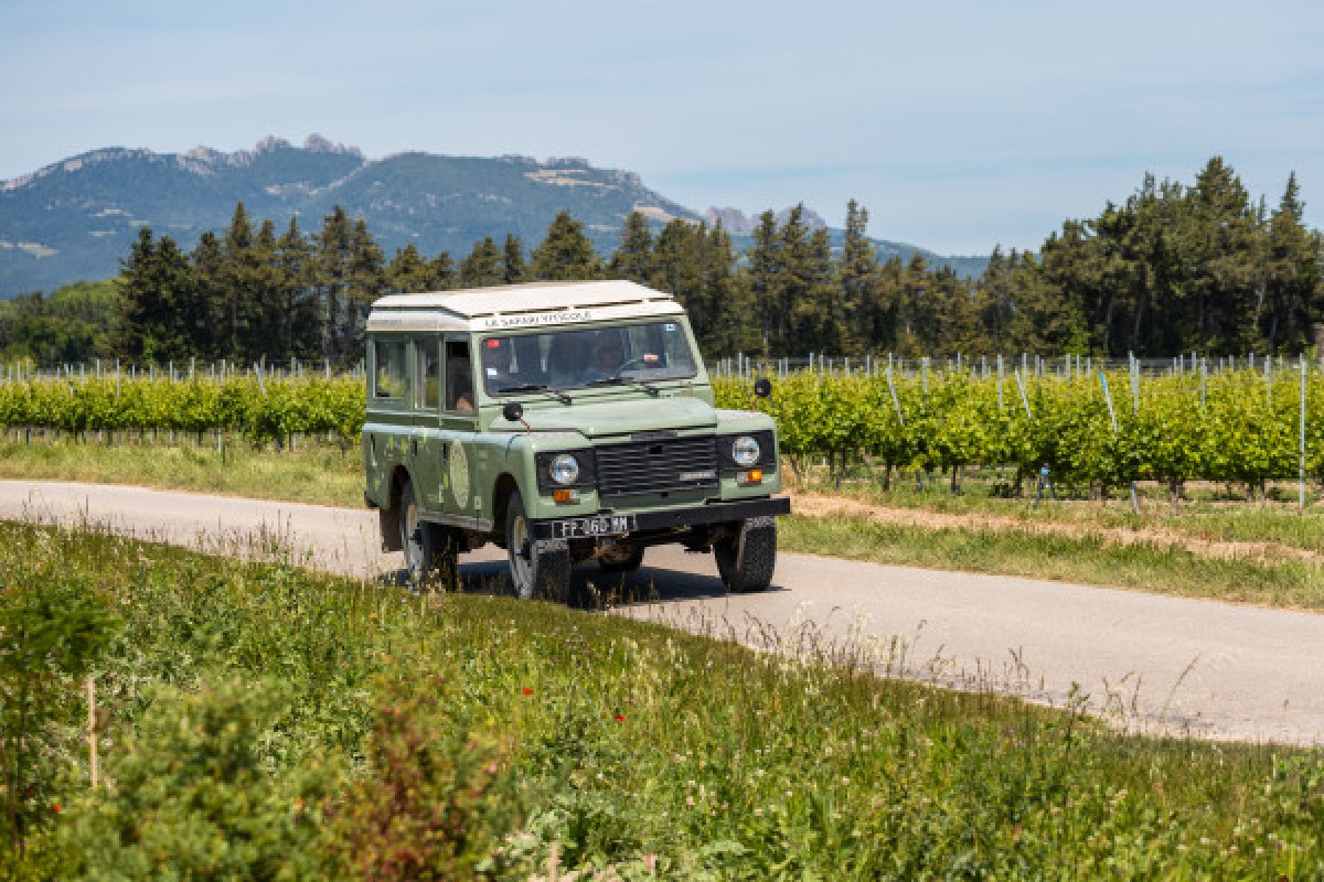 Safari Viticole en Land Rover - Vignerons Indépendants
