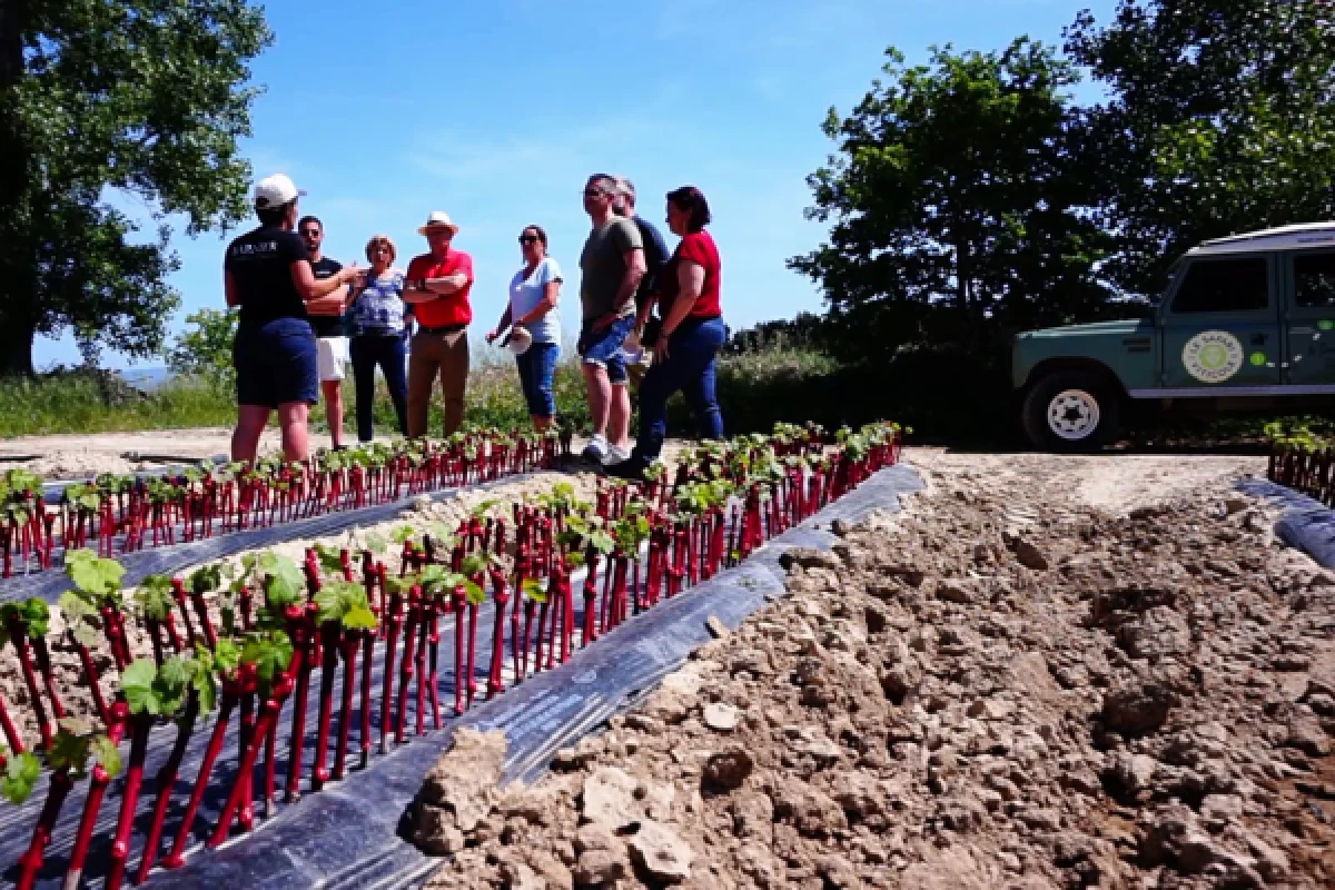 Safari Viticole en Land Rover - Vignerons Indépendants