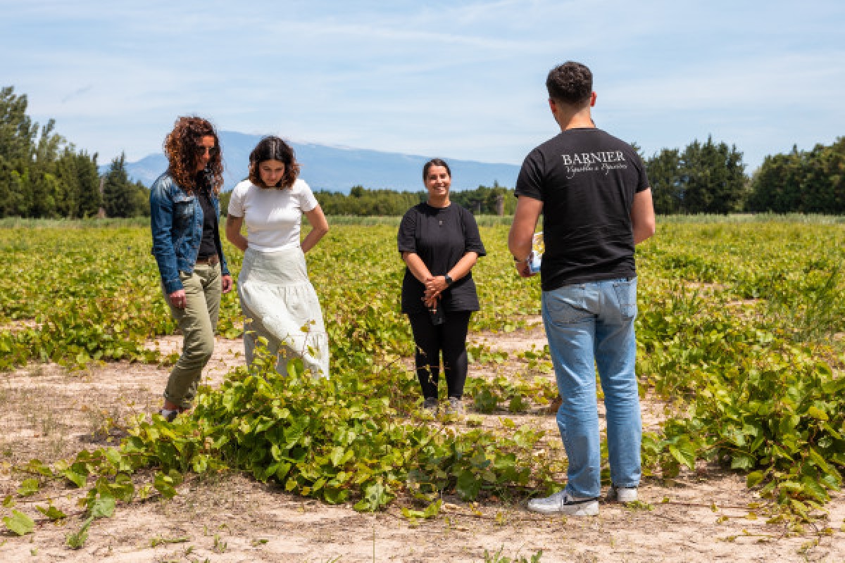 Safari Viticole en Land Rover - Vignerons Indépendants