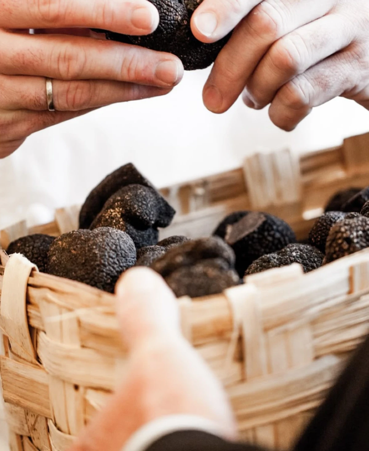 Saveurs Vins & Truffes - Vignerons Indépendants