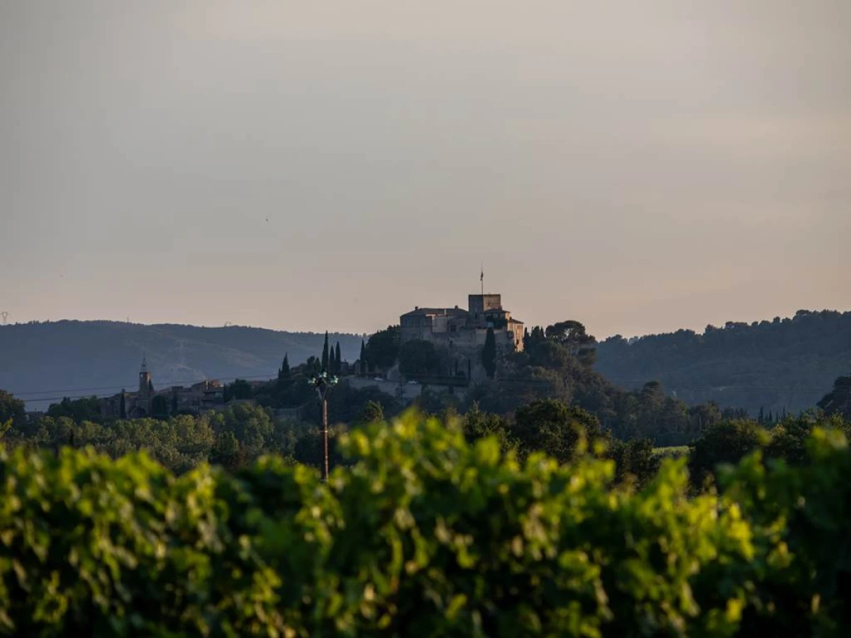 Secrets de la Vigne - Vignerons Indépendants