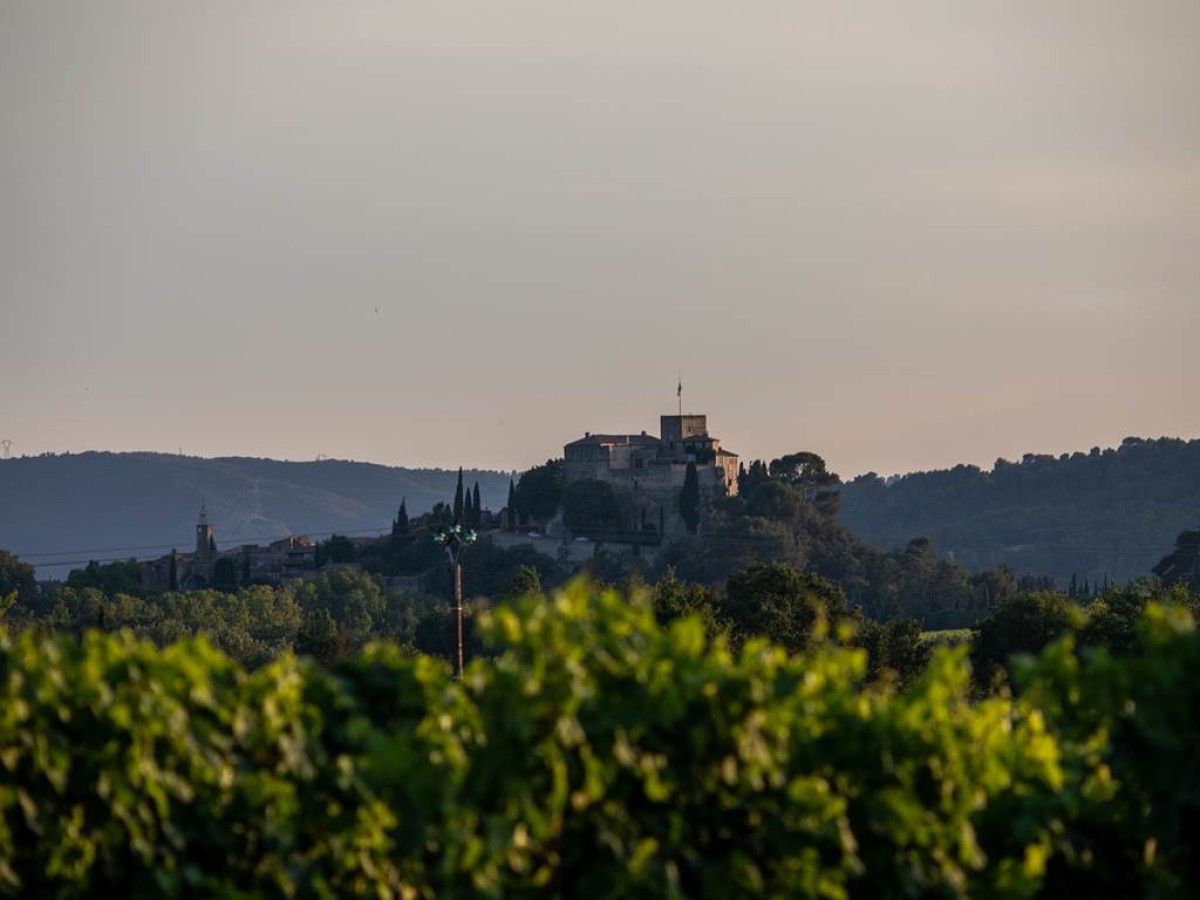 Secrets of the Vines - Vignerons Indépendants