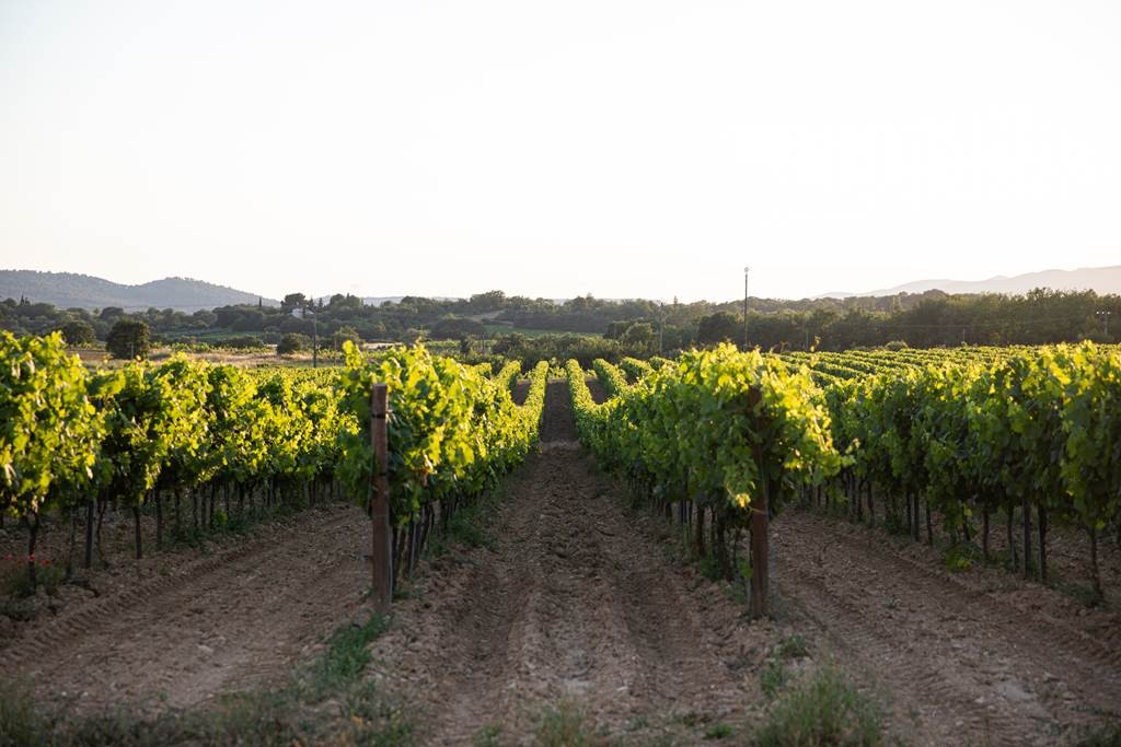 Secrets of the Vines - Vignerons Indépendants