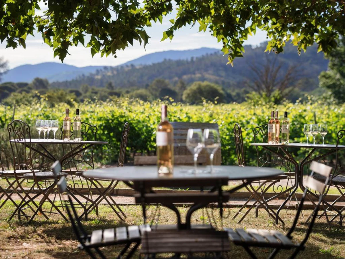 Soirée Blanche Apéro'Jale Vin & Fruits de mer 18 juillet 2025 - Vignerons Indépendants