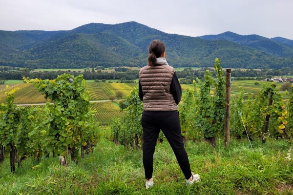 Sophrologie et Dégustation au Coin du Feu - Vignerons Indépendants
