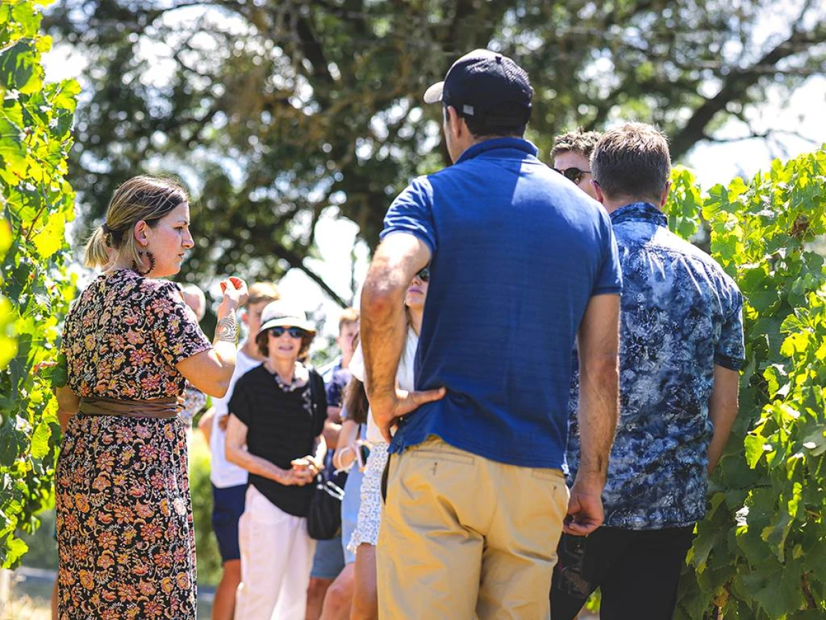 Summer Tour (in english) - Vignerons Indépendants