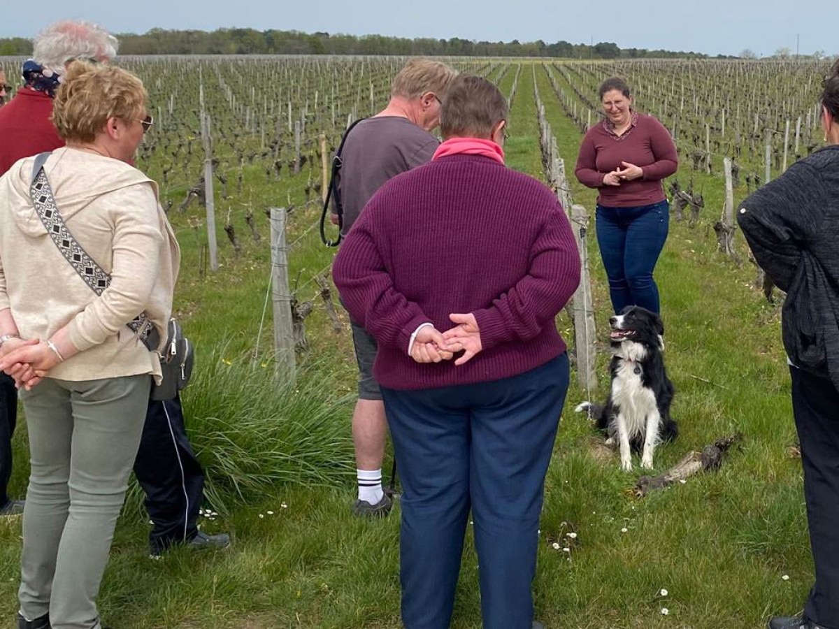 Sur les pas du vigneron - Vignerons Indépendants