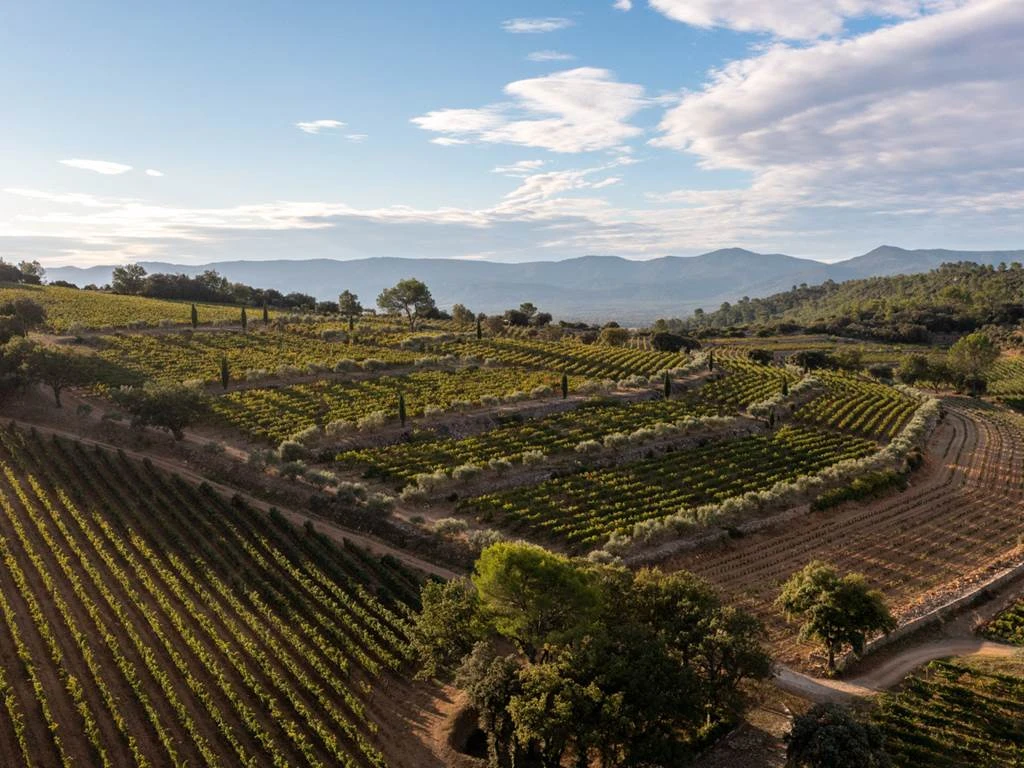 Sur les traces de La Mascaronne - Visite immersive et dégustation - Vignerons Indépendants