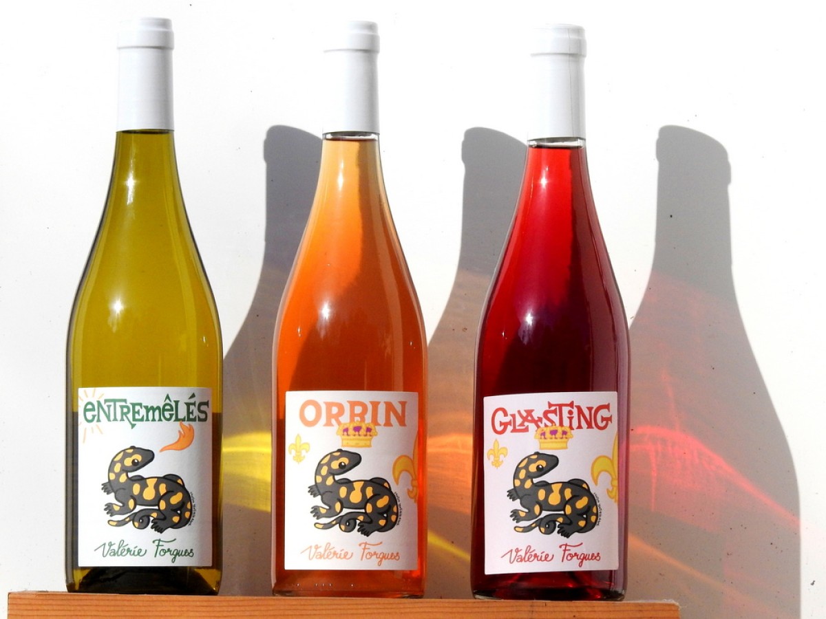 Dégustation de cépages rares de la Vallée du Cher - Vignerons Indépendants