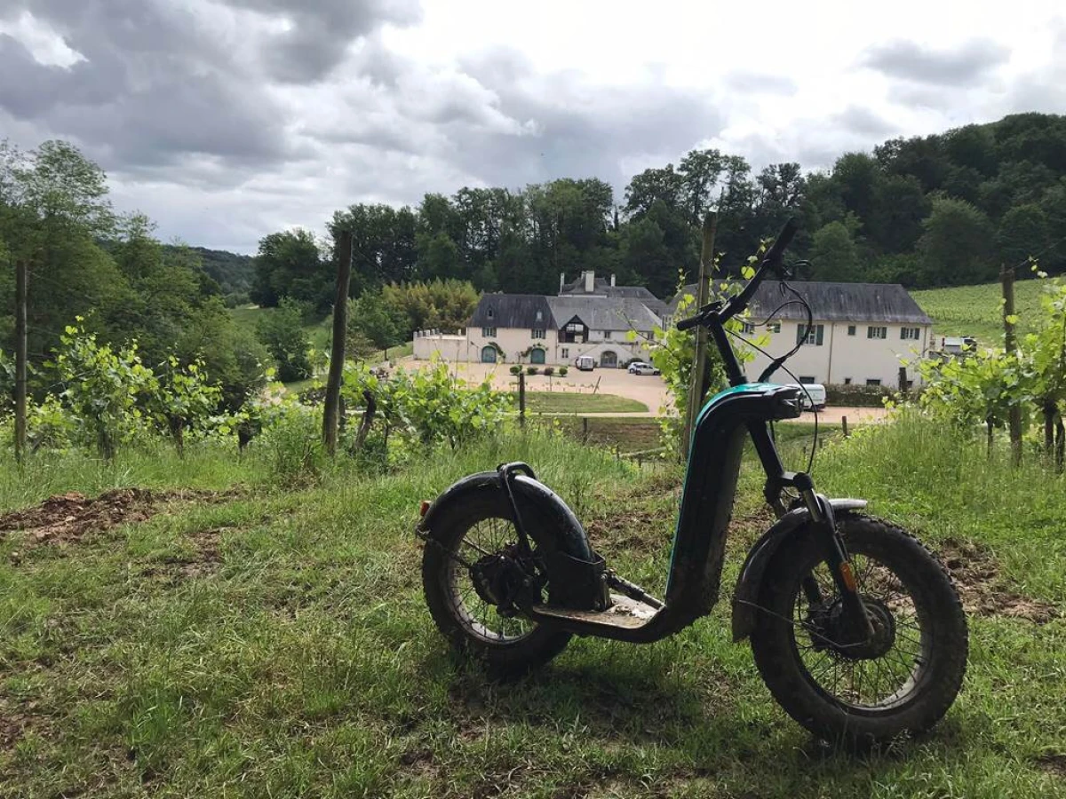 Trottinette dans les vignes - Vignerons Indépendants