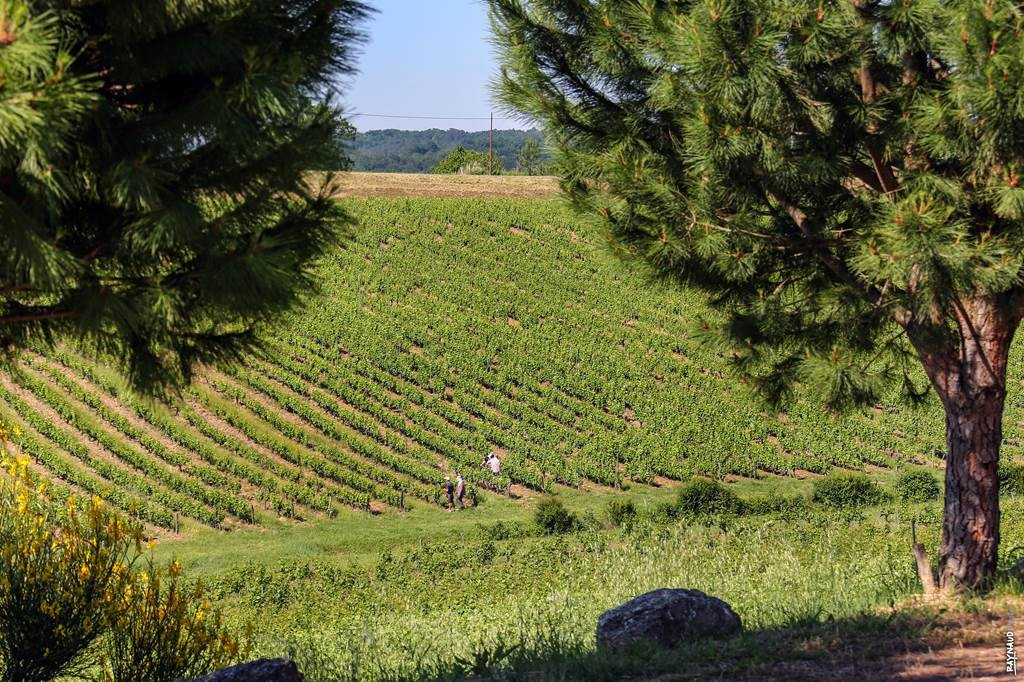 UN VOYAGE EN 3 ETAPES  AU COEUR DU DOMAINE - Vignerons Indépendants