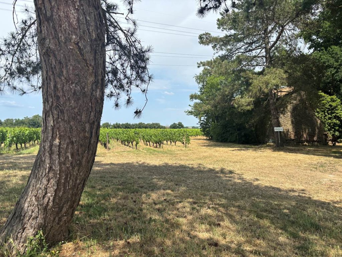 Une nuit en Chardonnay - Vignerons Indépendants