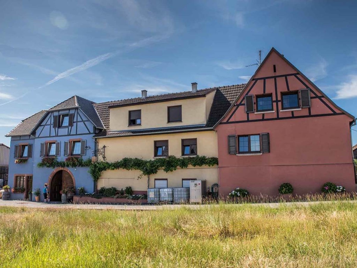 Valérie Meyer - Vignerons Indépendants