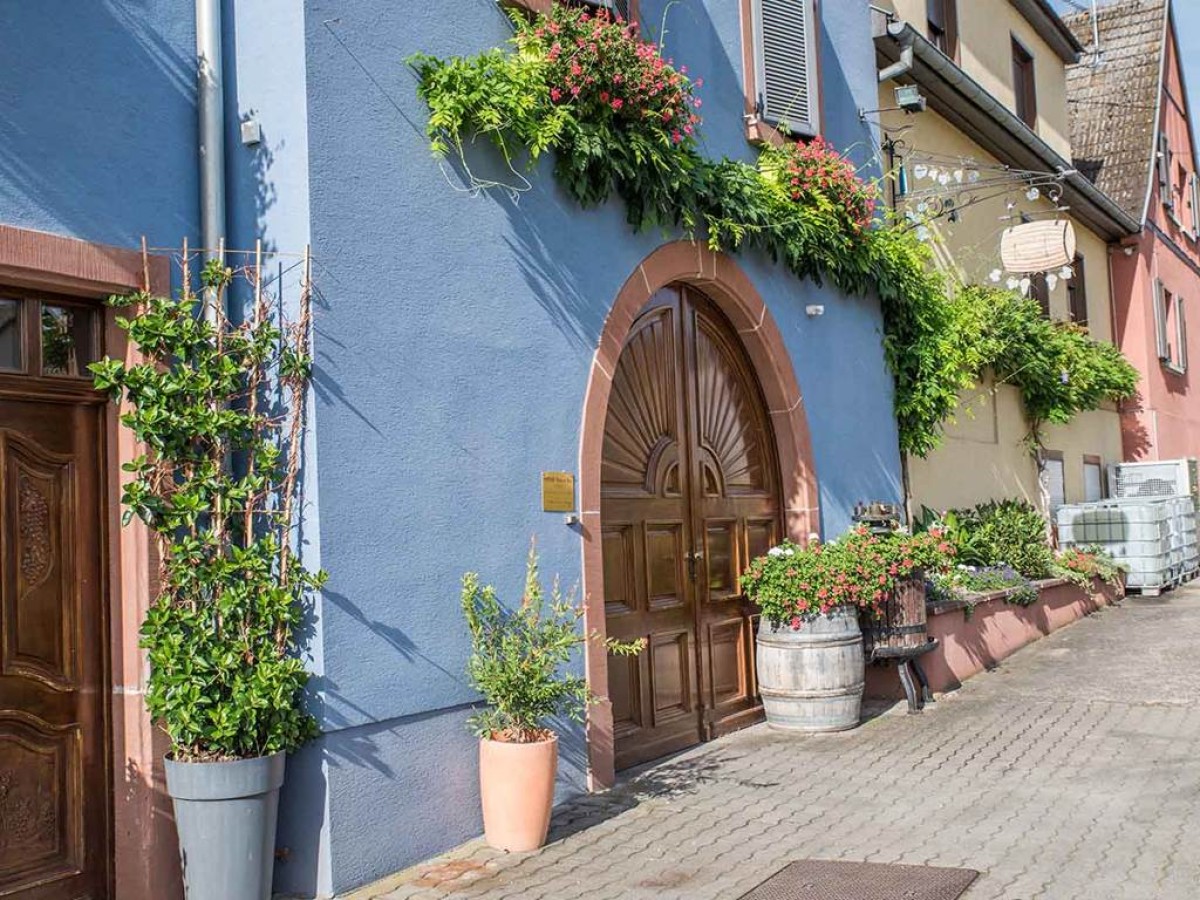 Valérie Meyer - Vignerons Indépendants