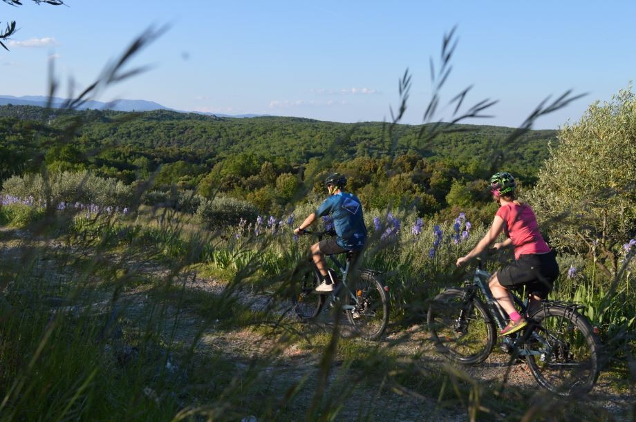 VELŒnoCastagnade - Vignerons Indépendants
