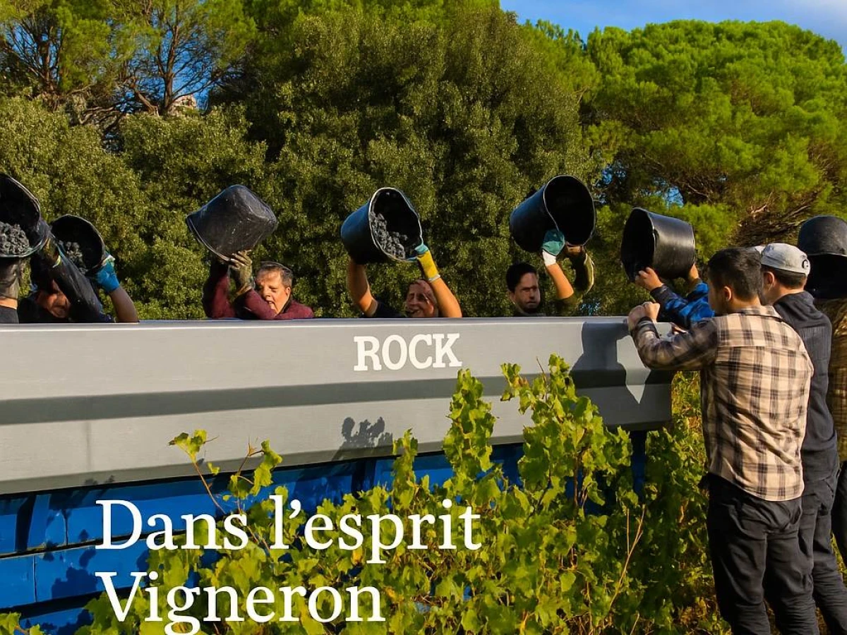 Vendanges - Vignerons Indépendants