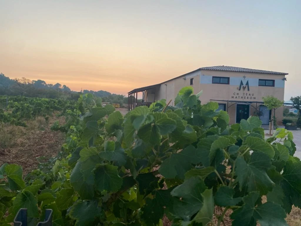 "Vignes, Pétanque et Chansons" : Soirée festive au Château Matheron à Vidauban - Vignerons Indépendants "Vignes, Pétanque et Chansons" : Soirée festive au Château Matheron à Vidauban - Vignerons Indépendants