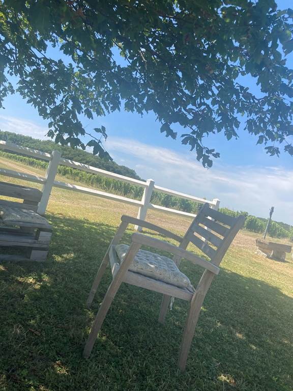 Vignes, vins, apéro - Vignerons Indépendants