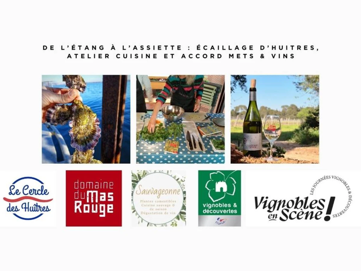 Vignobles en scène - Vignerons Indépendants
