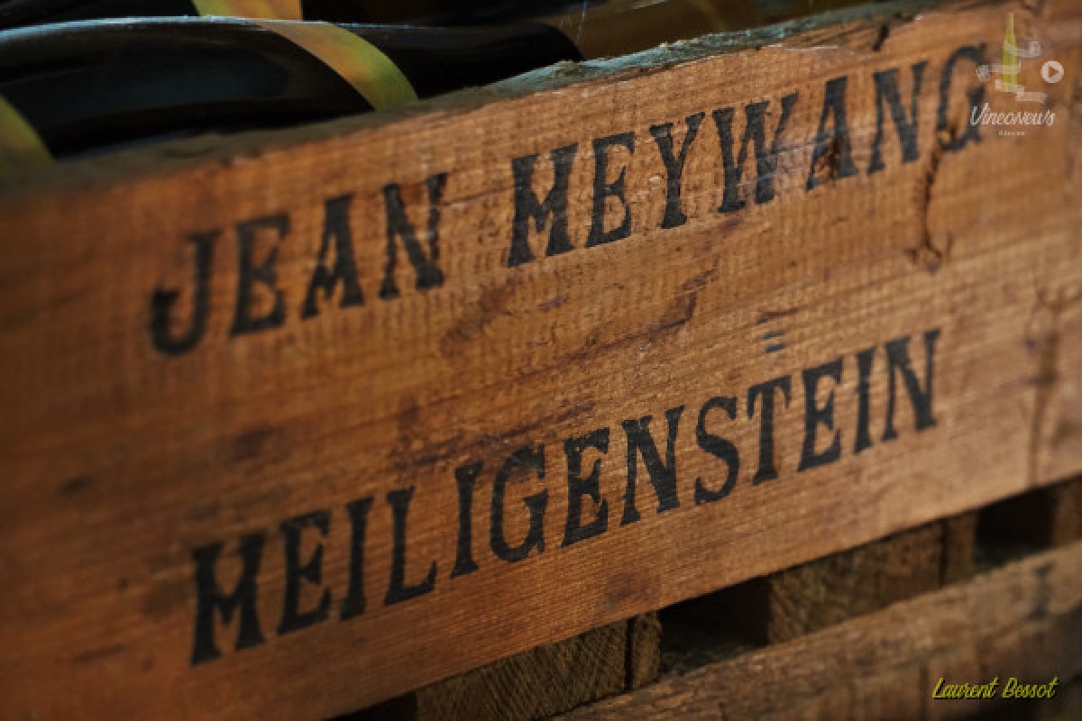 Vins et Saveurs - Vignerons Indépendants