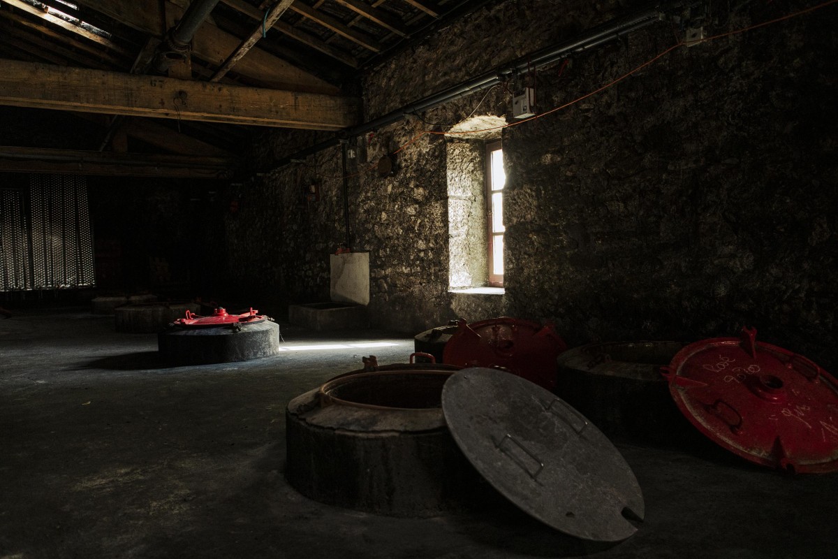 Visit of the winery and wine tasting (in English) - Vignerons Indépendants