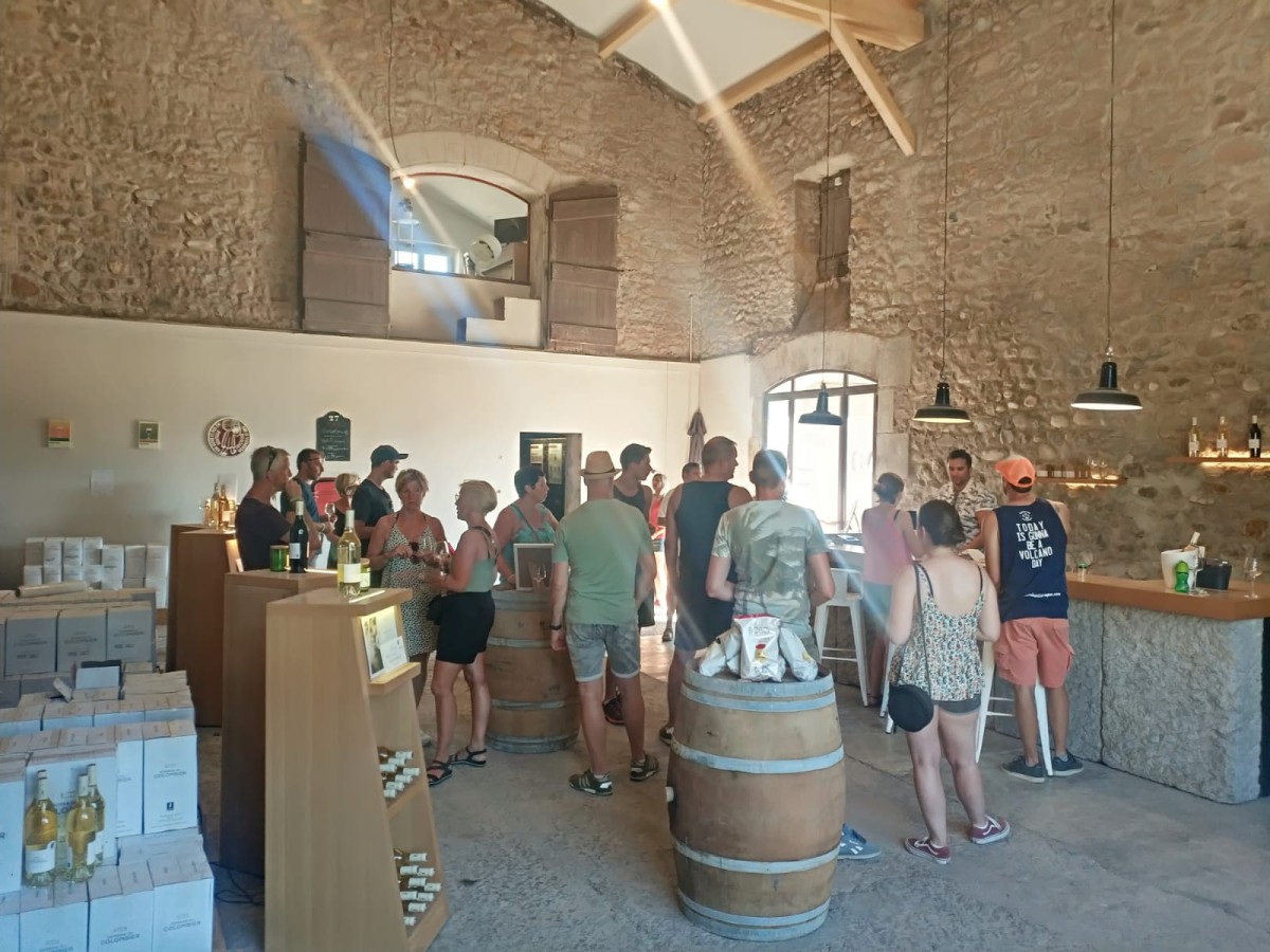 Visit of the winery and wine tasting (in English) - Vignerons Indépendants