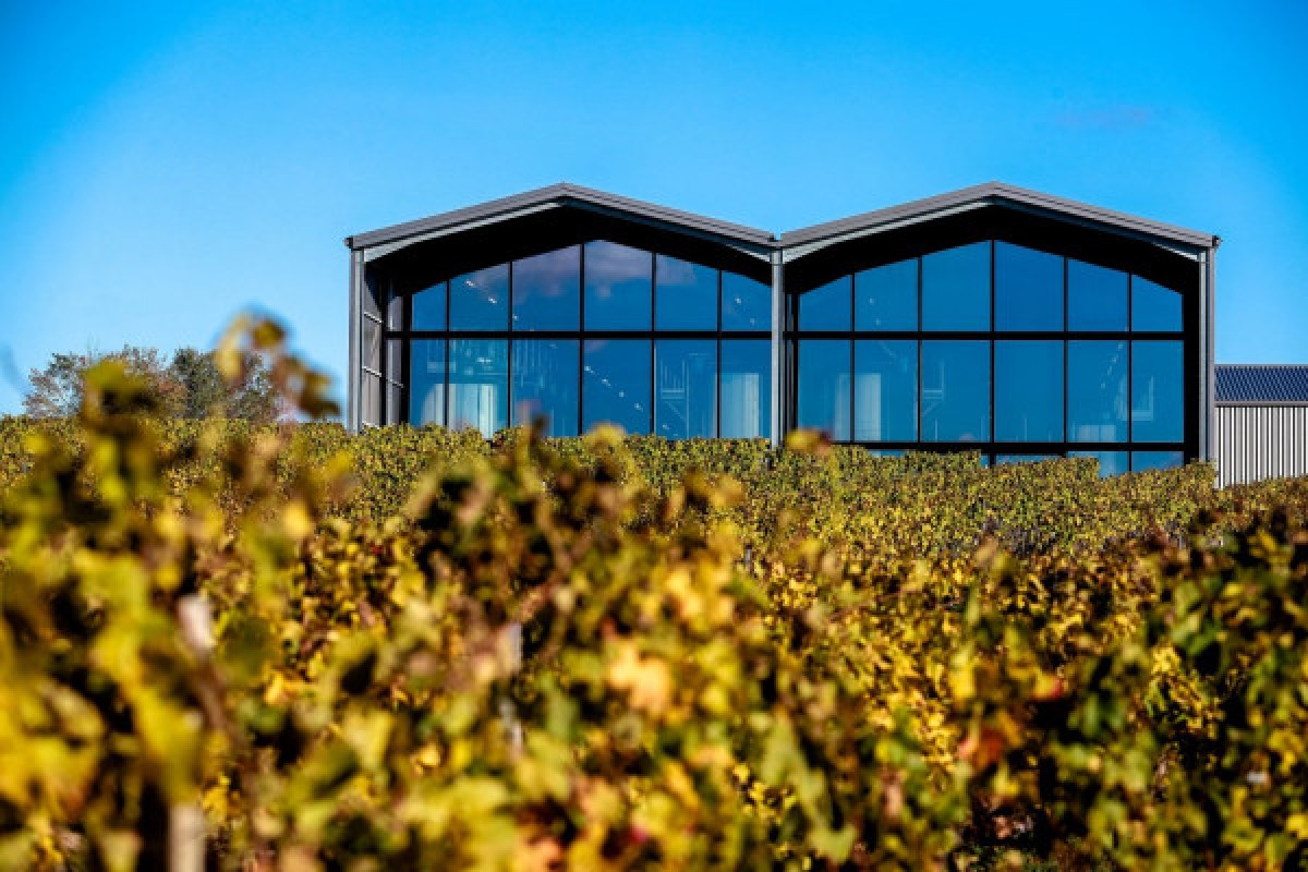Visite Accords Vins et Fromages au Château Lauduc - Vignerons Indépendants