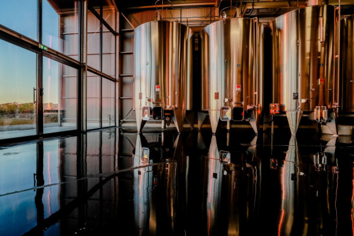 Visite Accords Vins et Fromages au Château Lauduc - Vignerons Indépendants