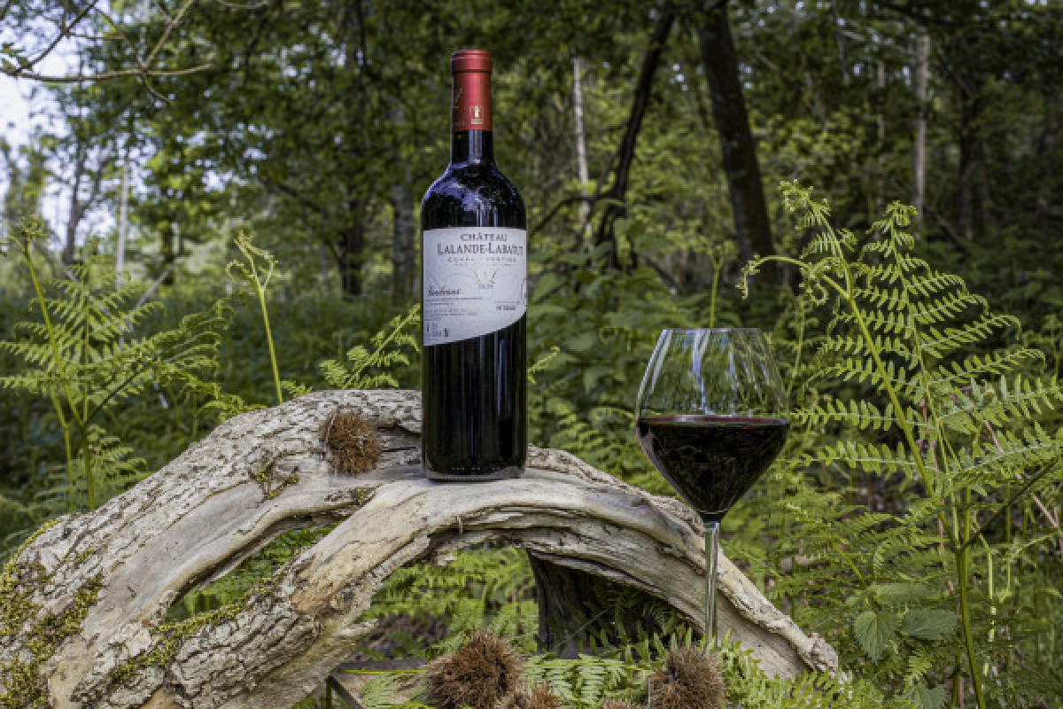 Visite authentique au Château Lalande-Labatut - Vignerons Indépendants