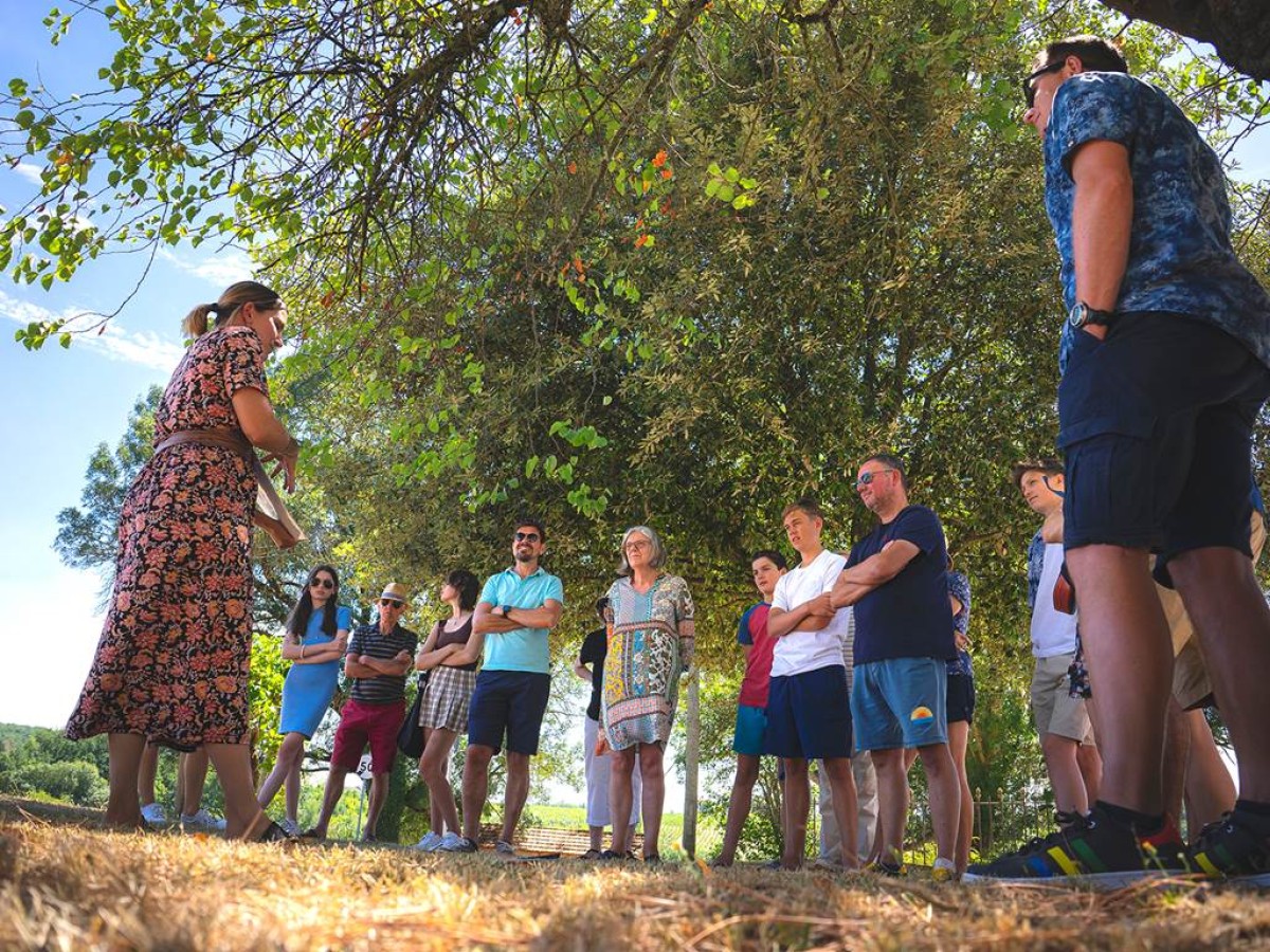 Visite Classique - Vignerons Indépendants