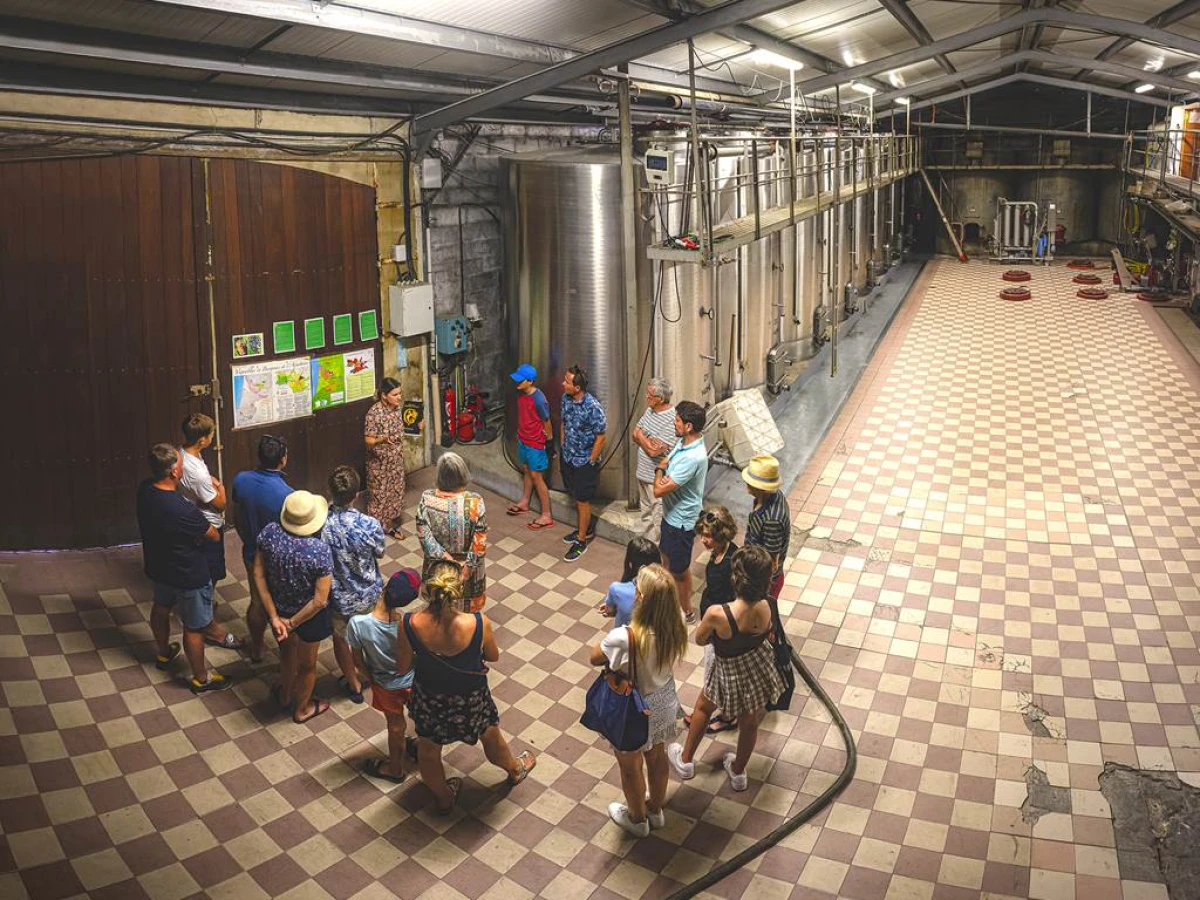 Visite Classique - Vignerons Indépendants