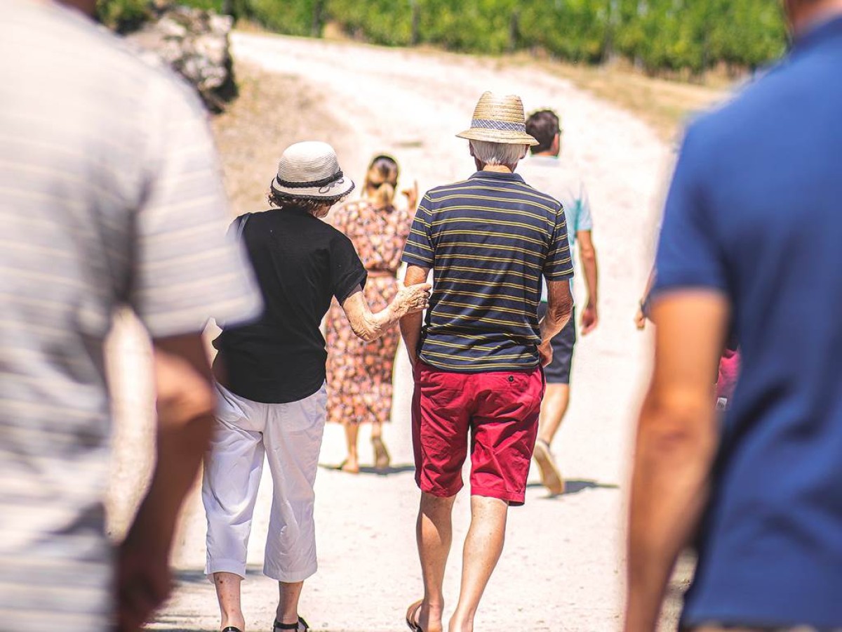 Visite Classique - Vignerons Indépendants