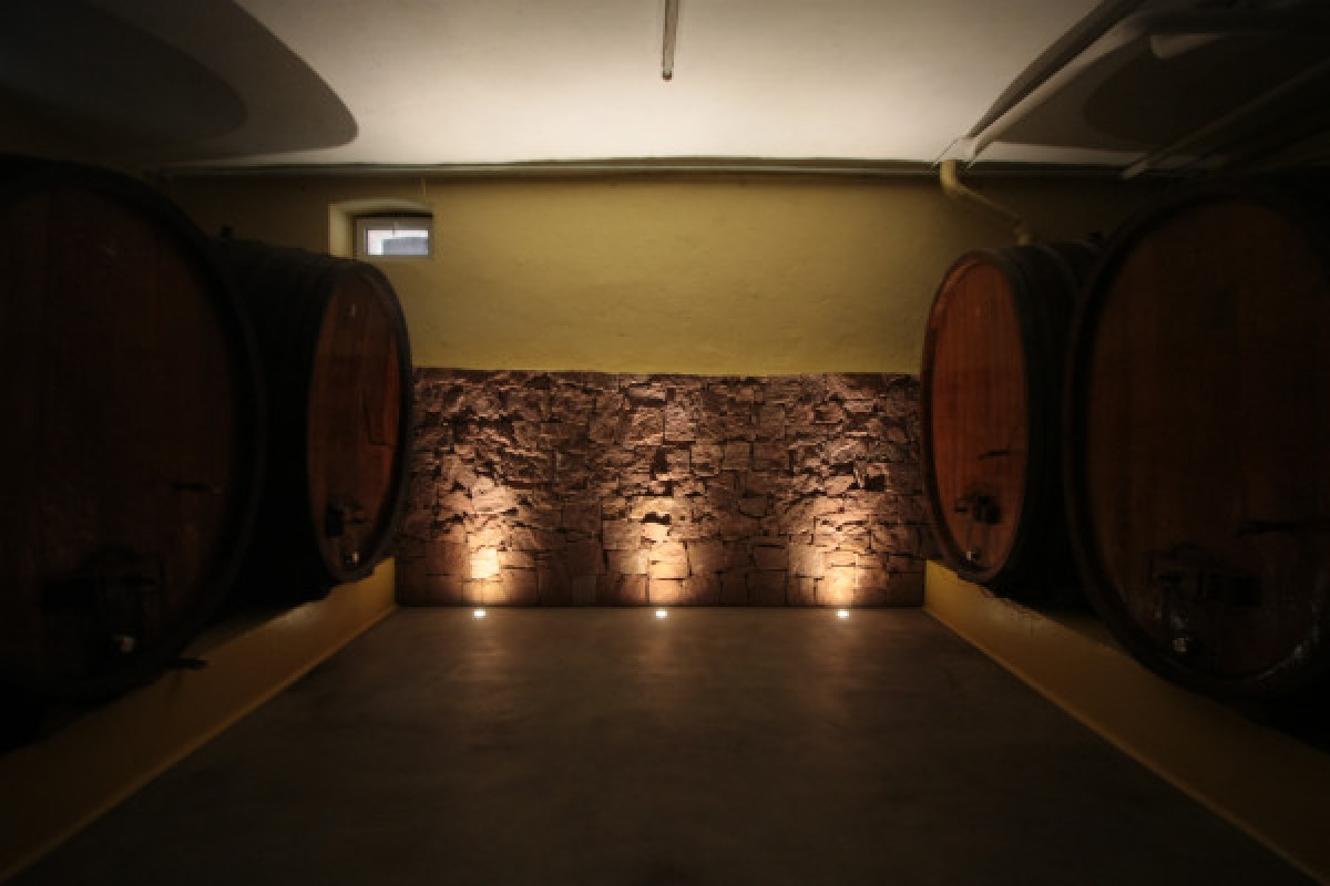 Visite de cave & dégustation - Formule Gourmande - Vignerons Indépendants