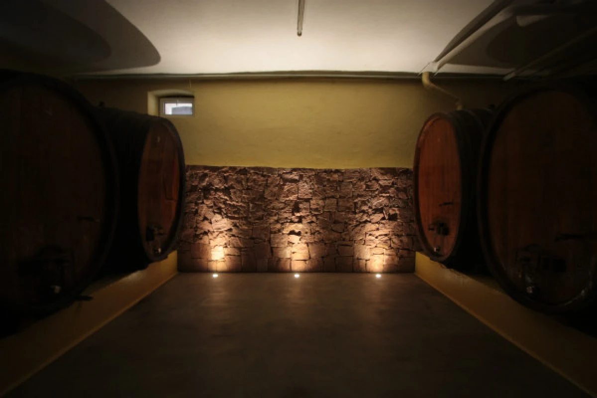 Visite de cave & dégustation - Formule Gourmande - Vignerons Indépendants