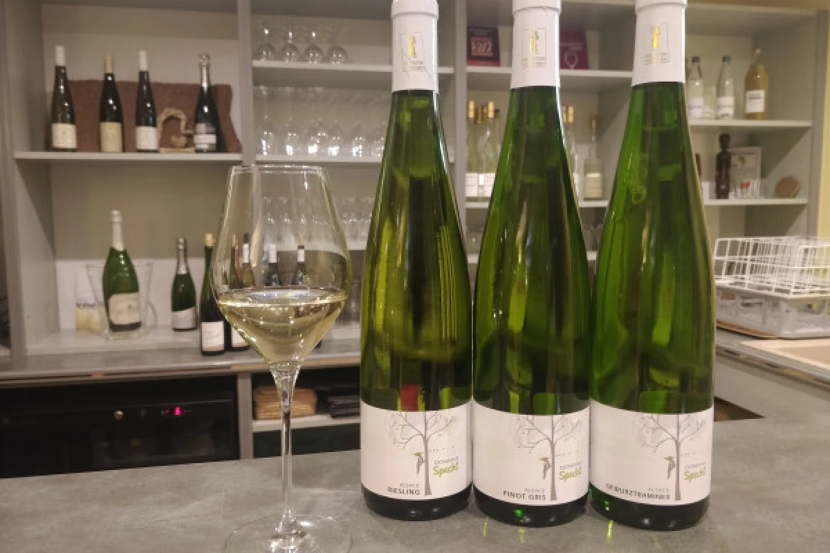 Visite de cave & dégustation - Formule Gourmande - Vignerons Indépendants