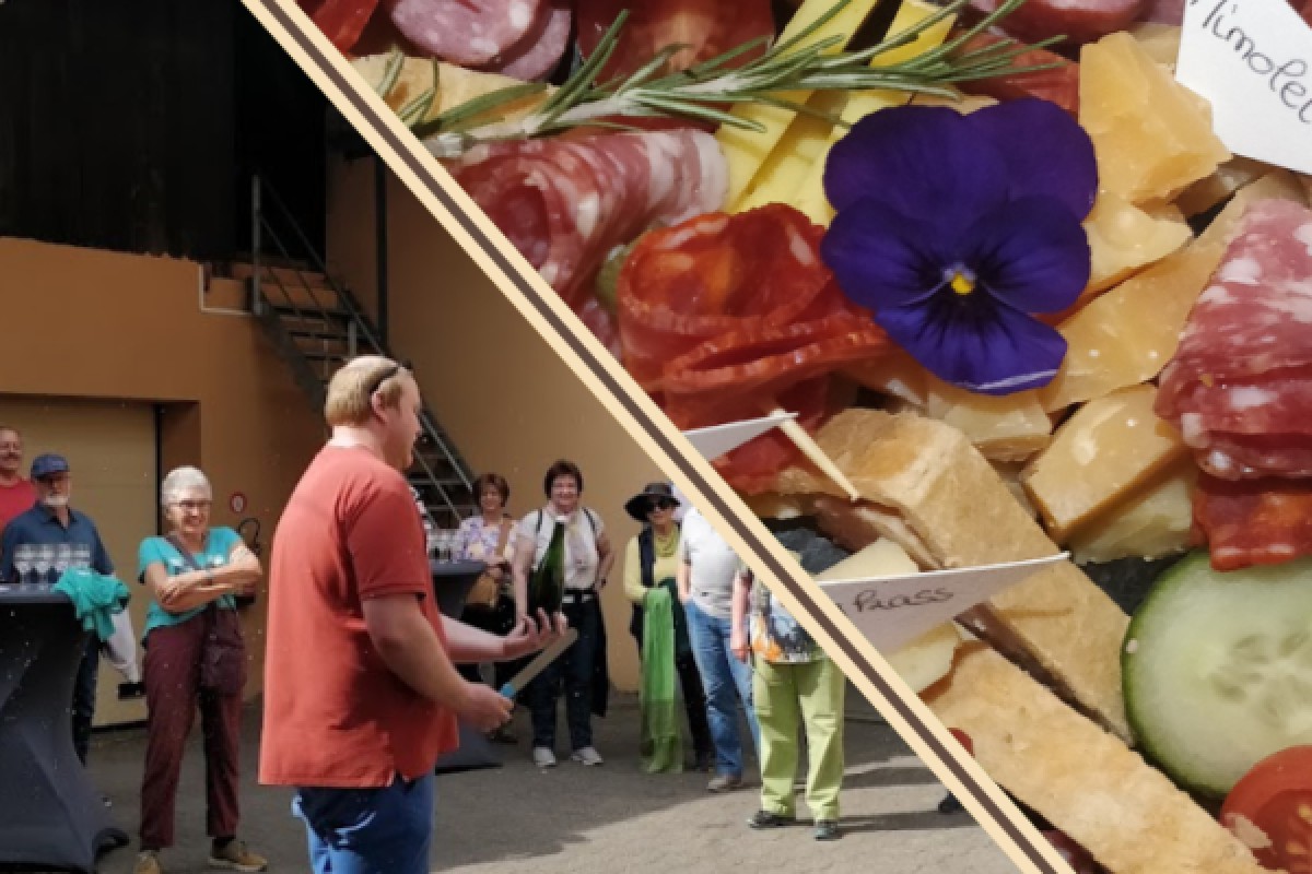 Visite de cave & dégustation - Formule Premium - Vignerons Indépendants