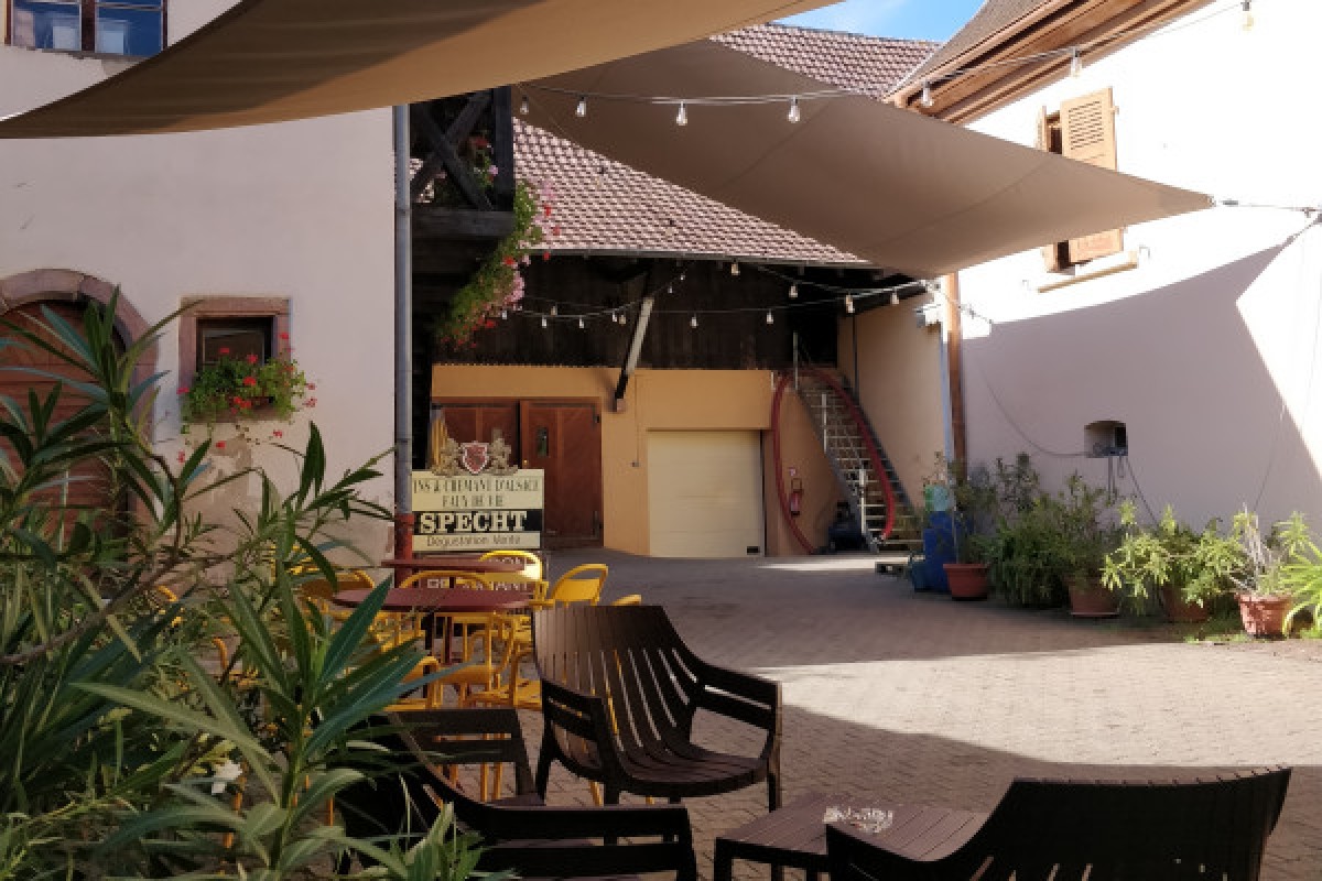 Visite de cave & dégustation - Formule traditionnelle - Vignerons Indépendants