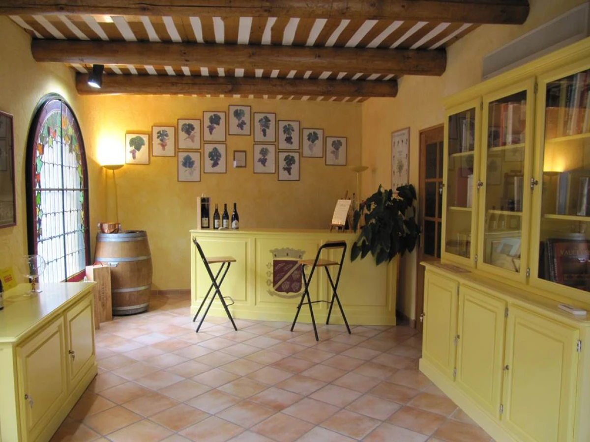 Visite de cave + Dégustation : nos Châteauneuf-du-Pape rouges et blancs (2) - Vignerons Indépendants