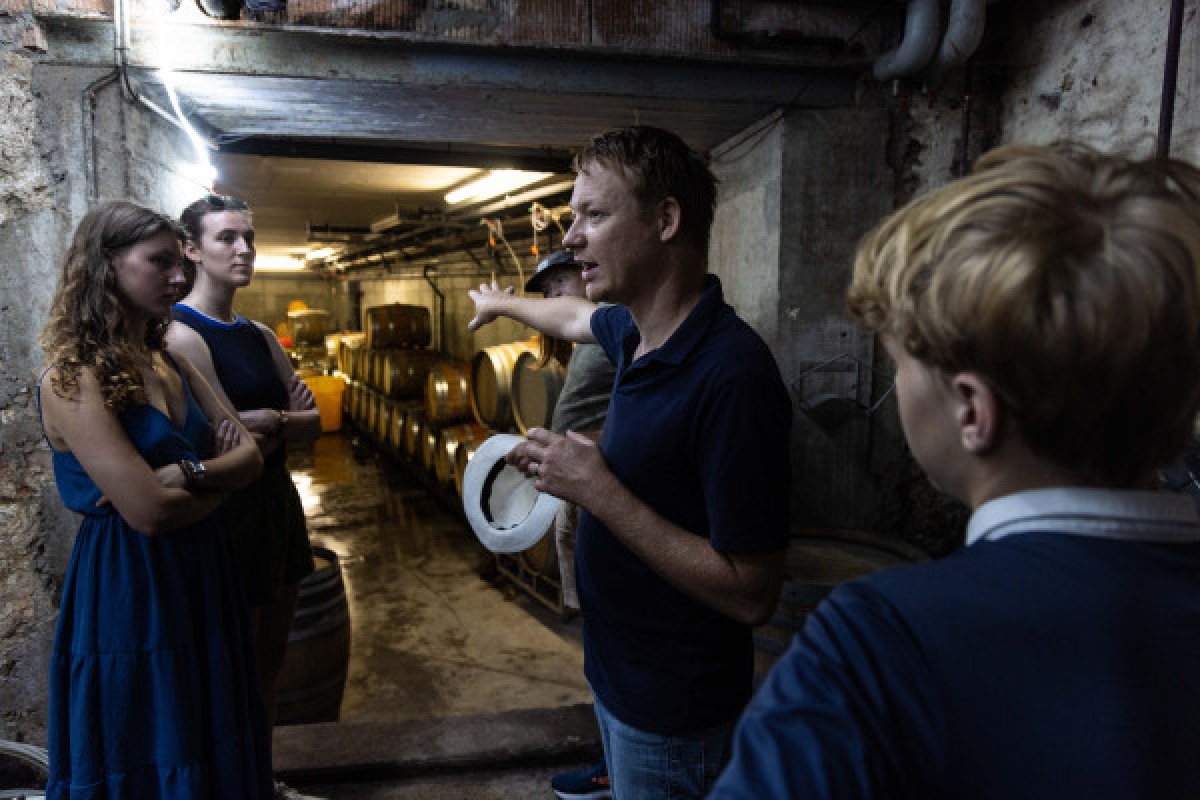 Visite de cave et découverte des vins d'Alsace - Vignerons Indépendants