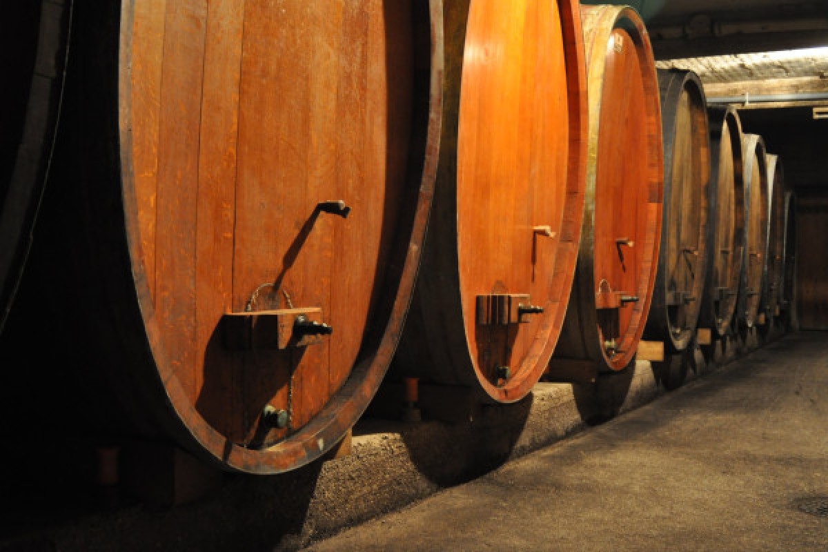 Visite de cave et dégustation - Vignerons Indépendants