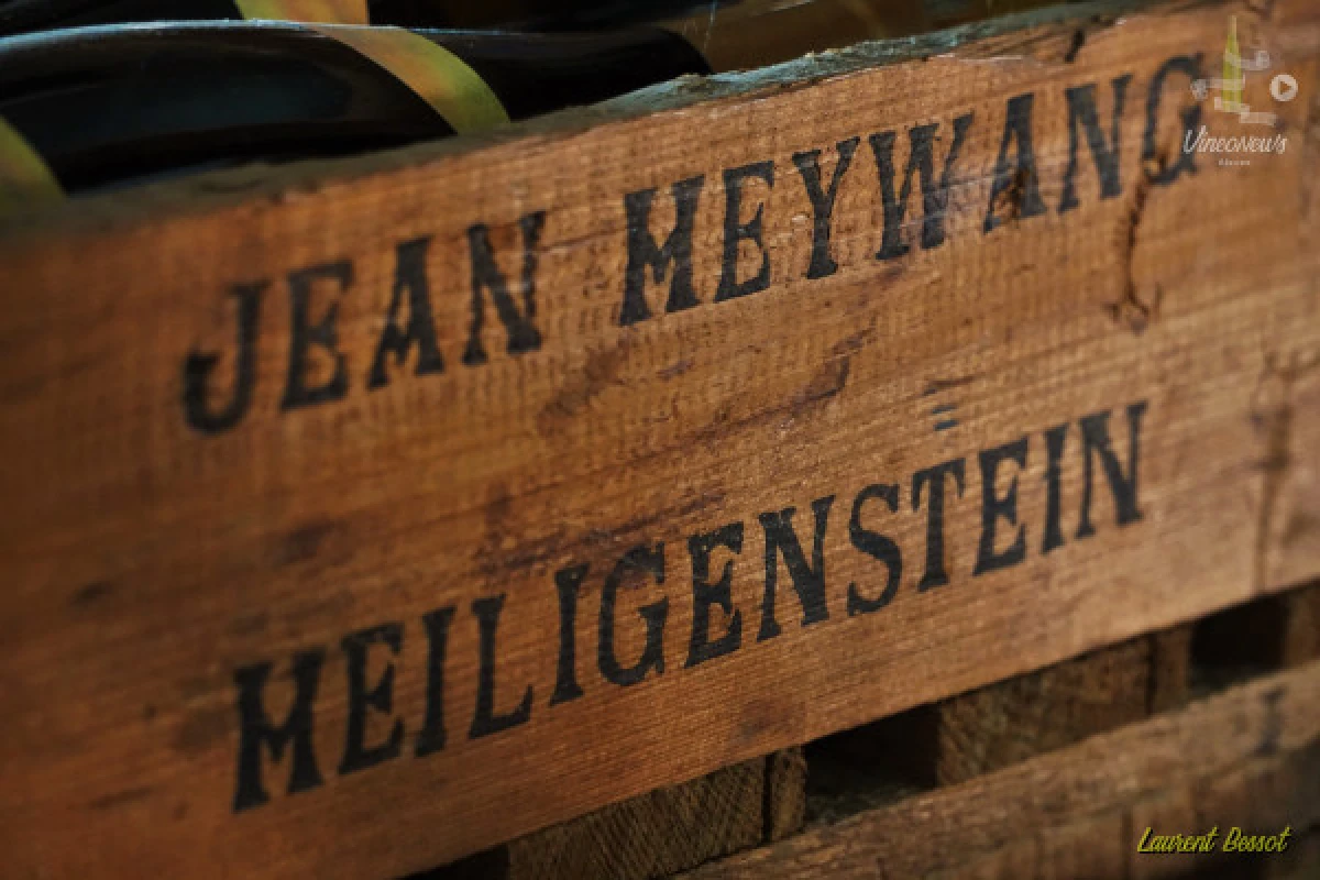 Visite de cave et dégustation - Vignerons Indépendants