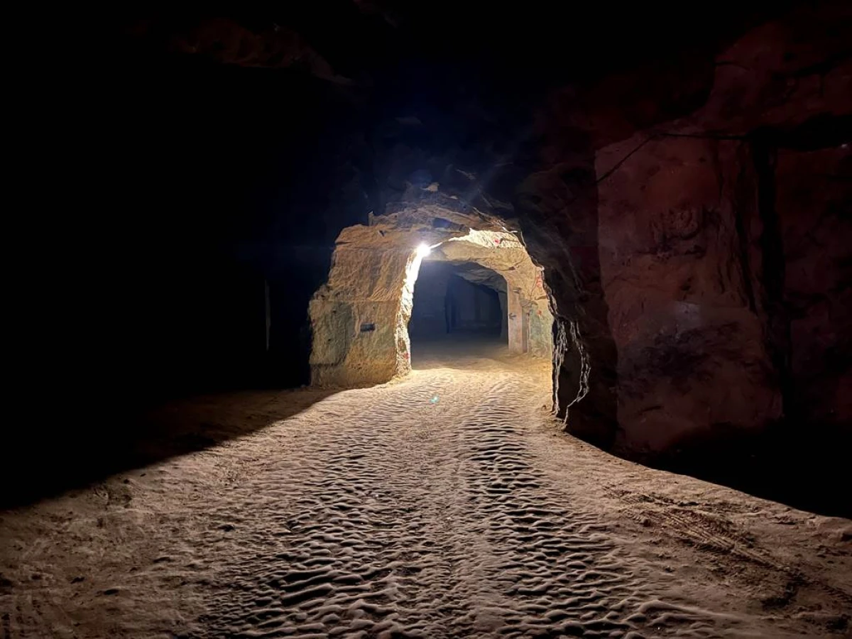 Visite de cave troglodyte et vieux millésimes - Vignerons Indépendants