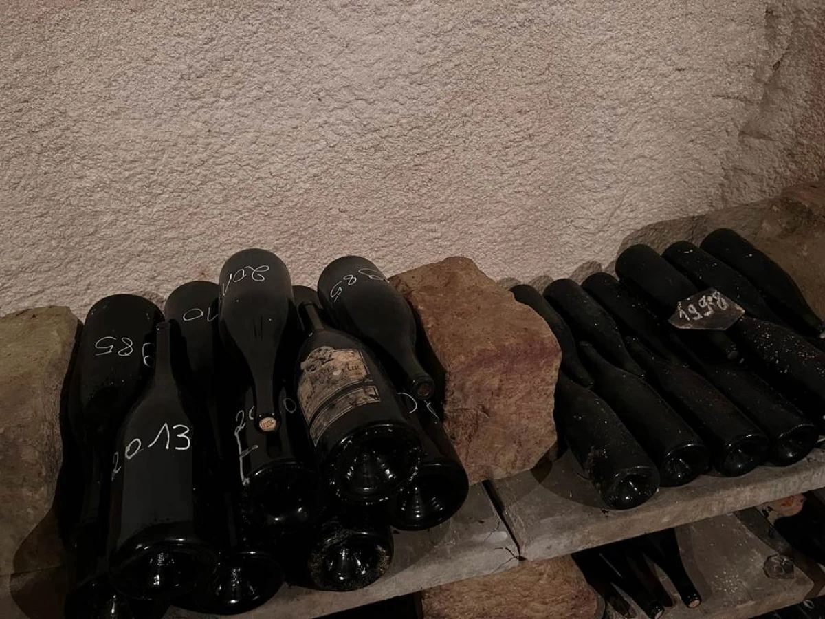 Visite de cave troglodyte et vieux millésimes - Vignerons Indépendants