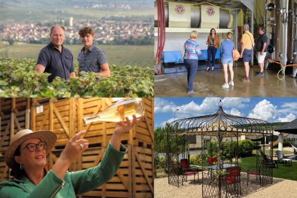 Visite de caves commentée suivie d'une dégustation - Vignerons Indépendants